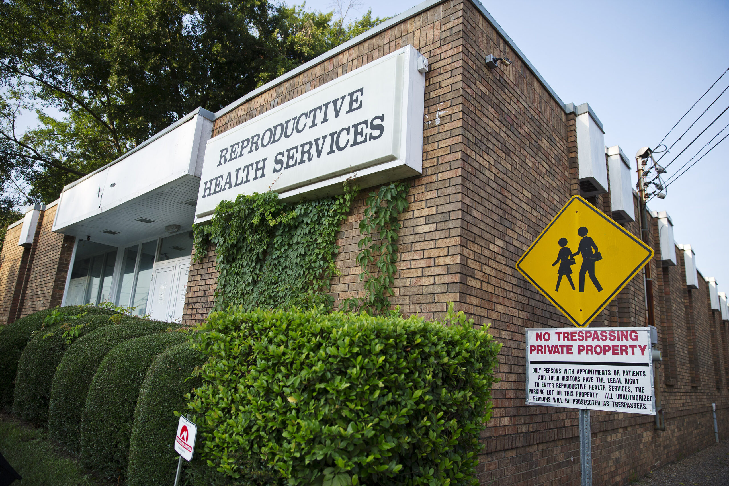Why are there so many rogue abortionists?