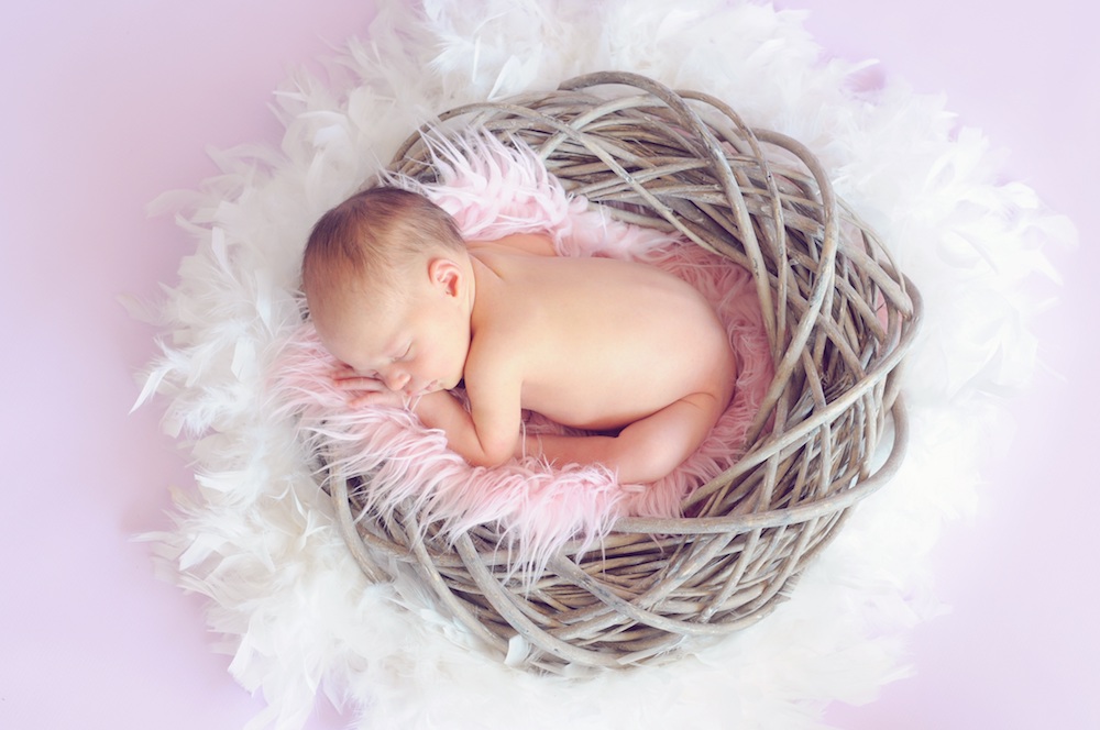 Every Pro-Lifer Should Know This One Scientific Chart