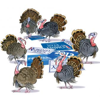 Turkey in the Straw