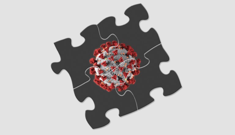 The pandemic puzzle