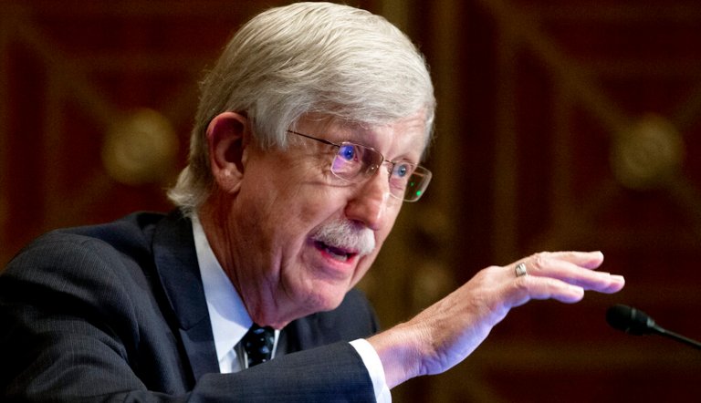 Francis Collins to step down as NIH director