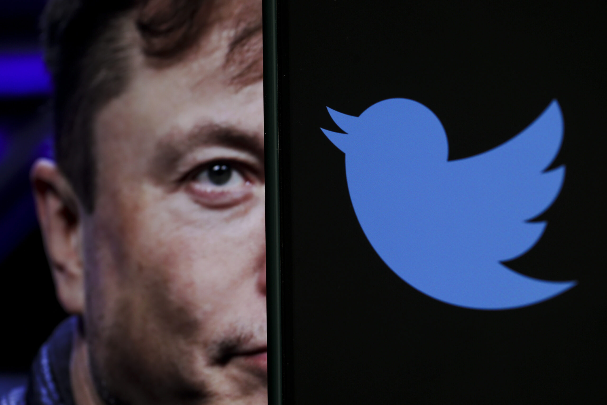 Elon Musk and Twitter