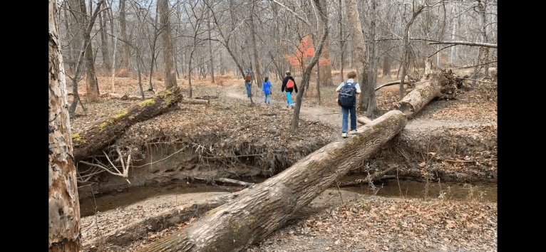 My ‘Black Friday’ tradition: The seven-mile hike