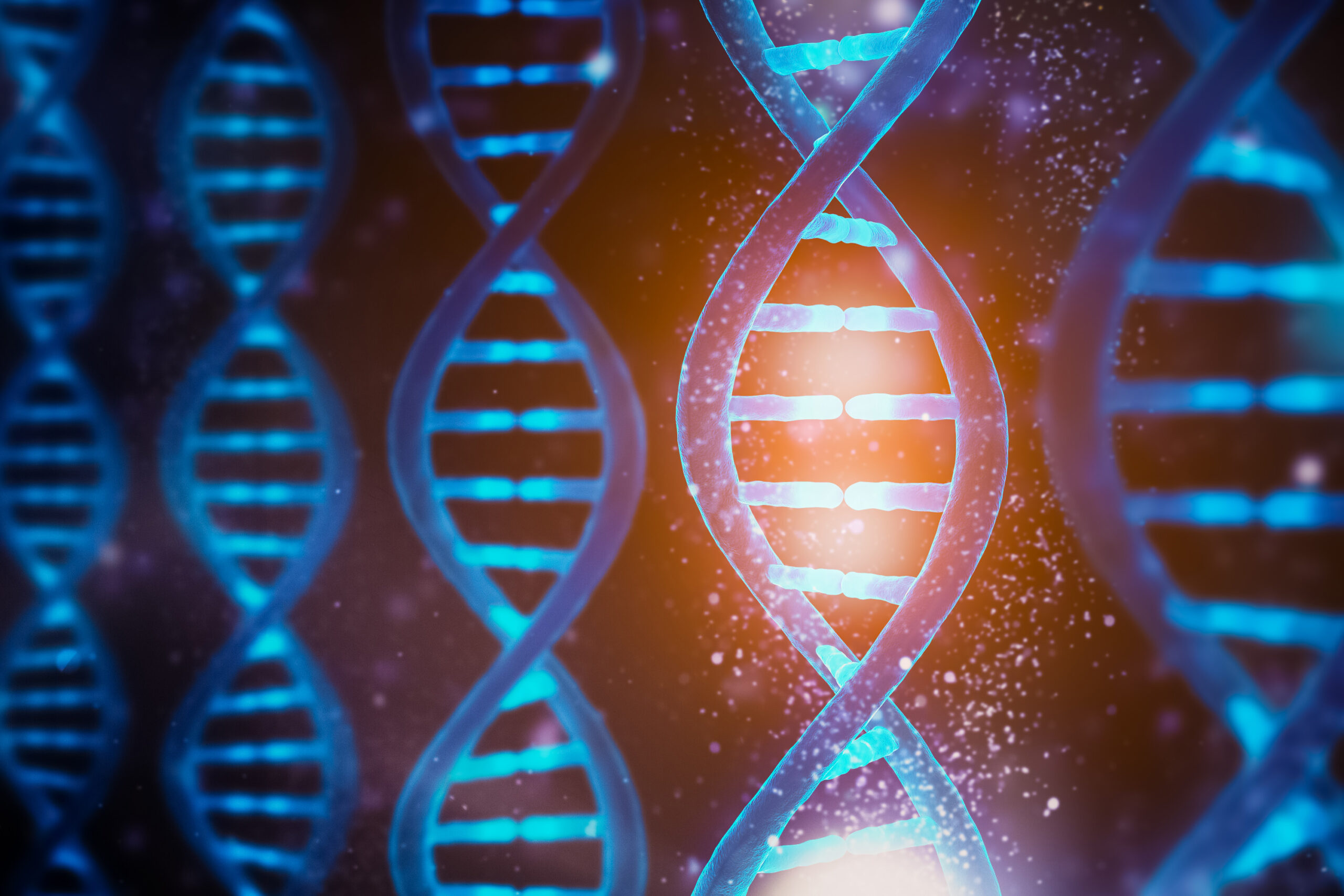 Should genetics make us socialist?