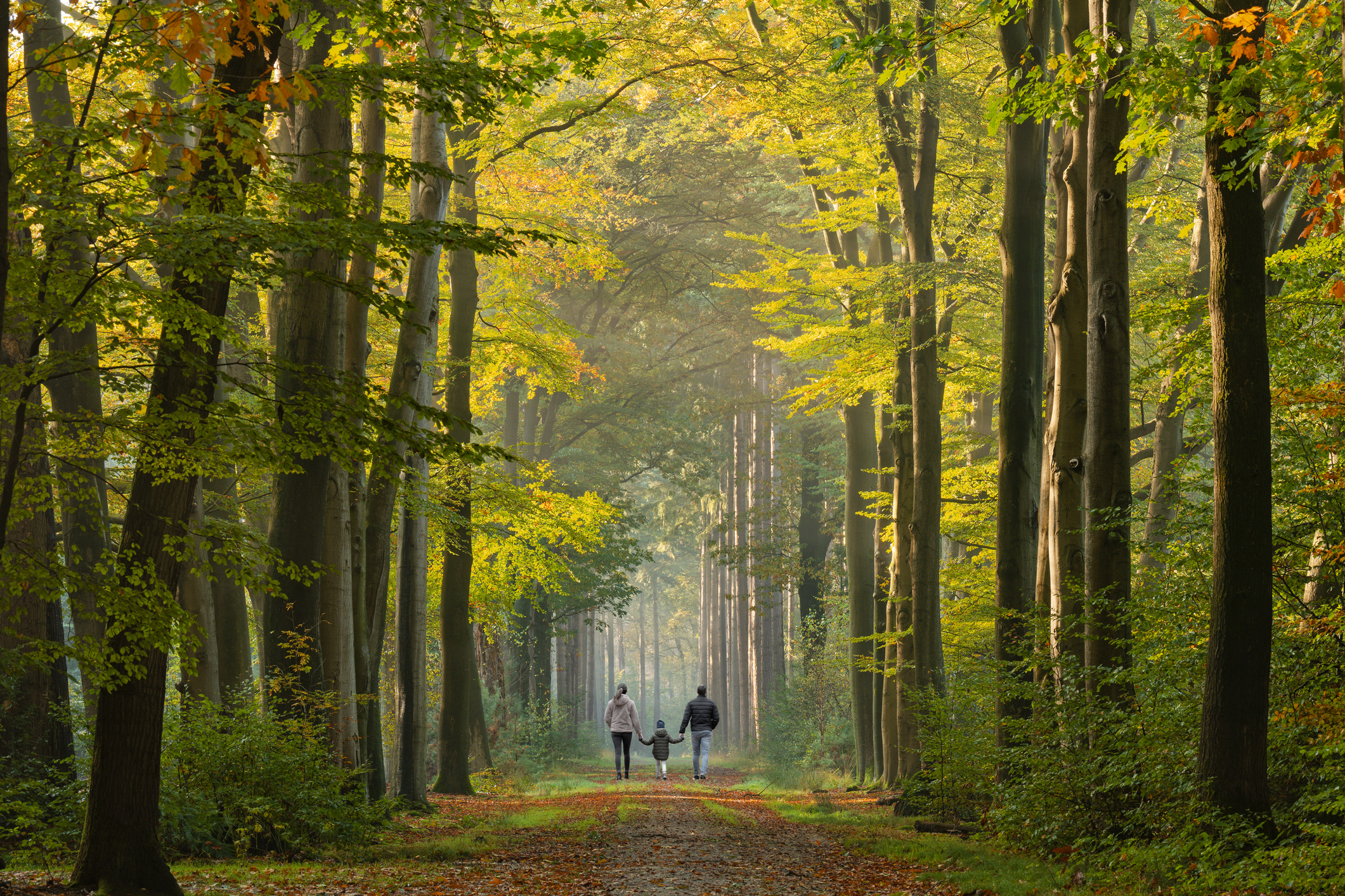 Childless adults aren’t saving Mother Nature