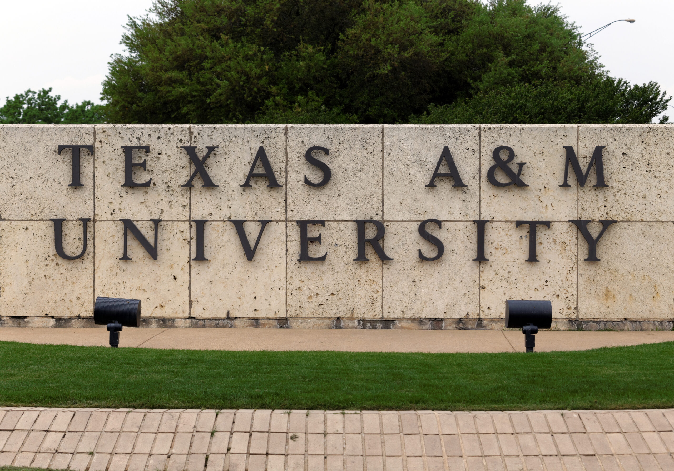 Texas A&M nursing school required ‘commitment to diversity and inclusion’ for faculty hires