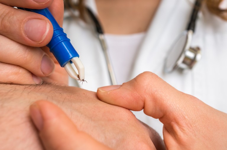 New model from University of Illinois could help limit spread of Lyme disease