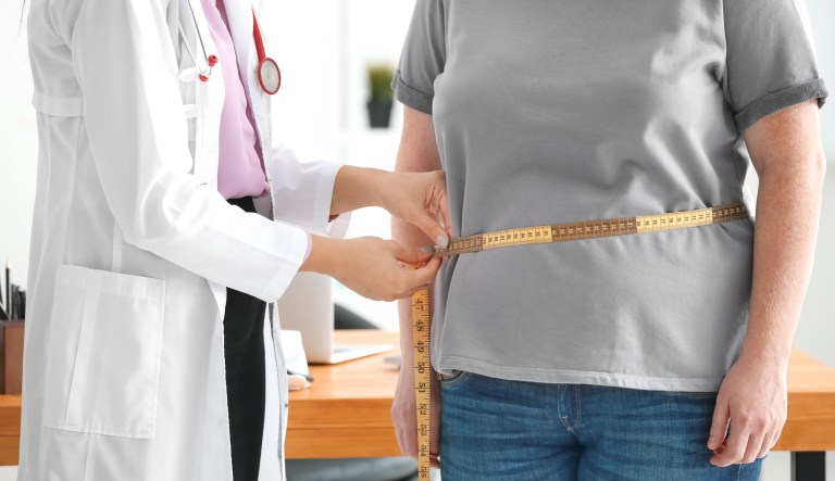 Obesity Healthcare System