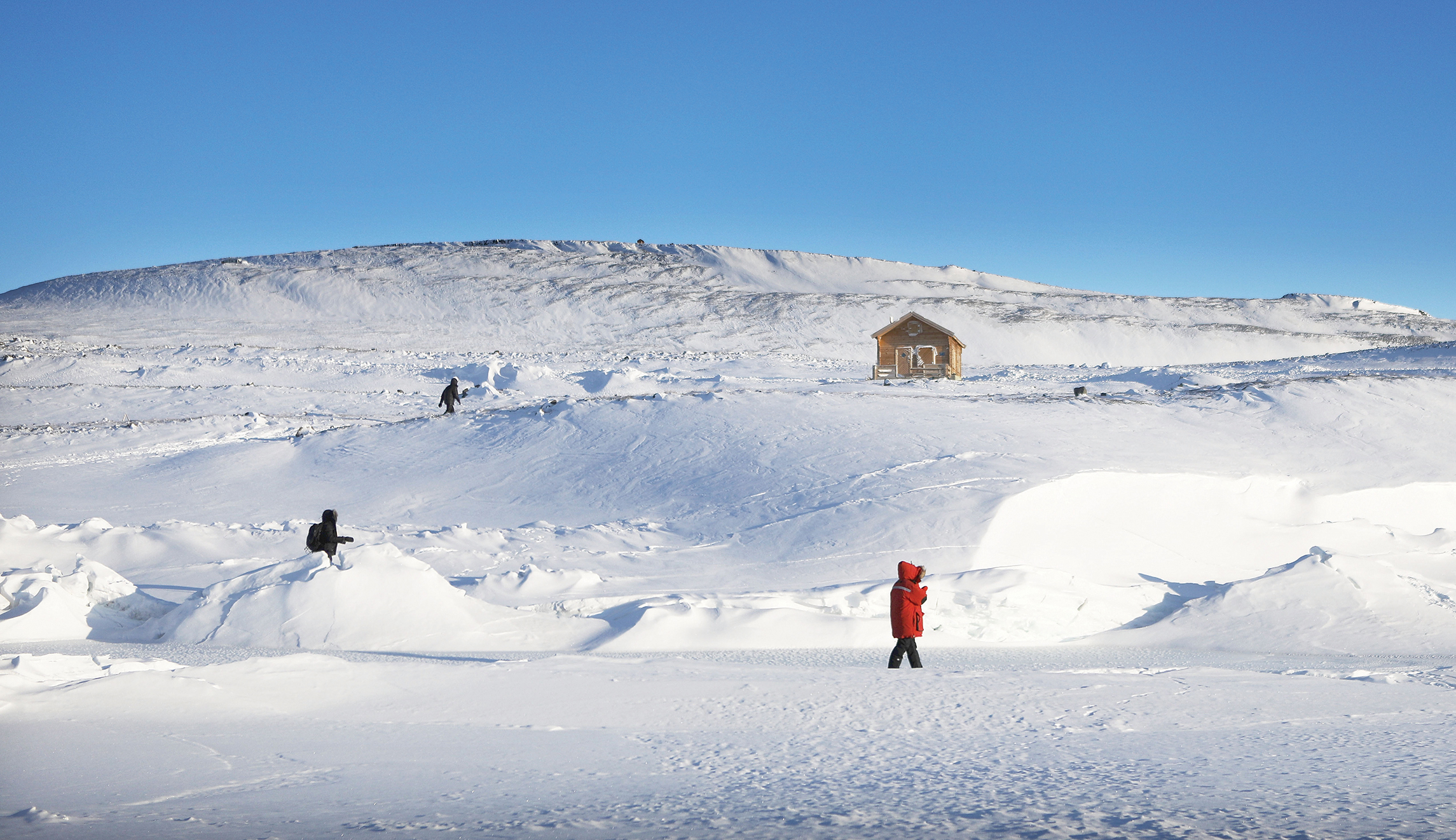 Northern dreams