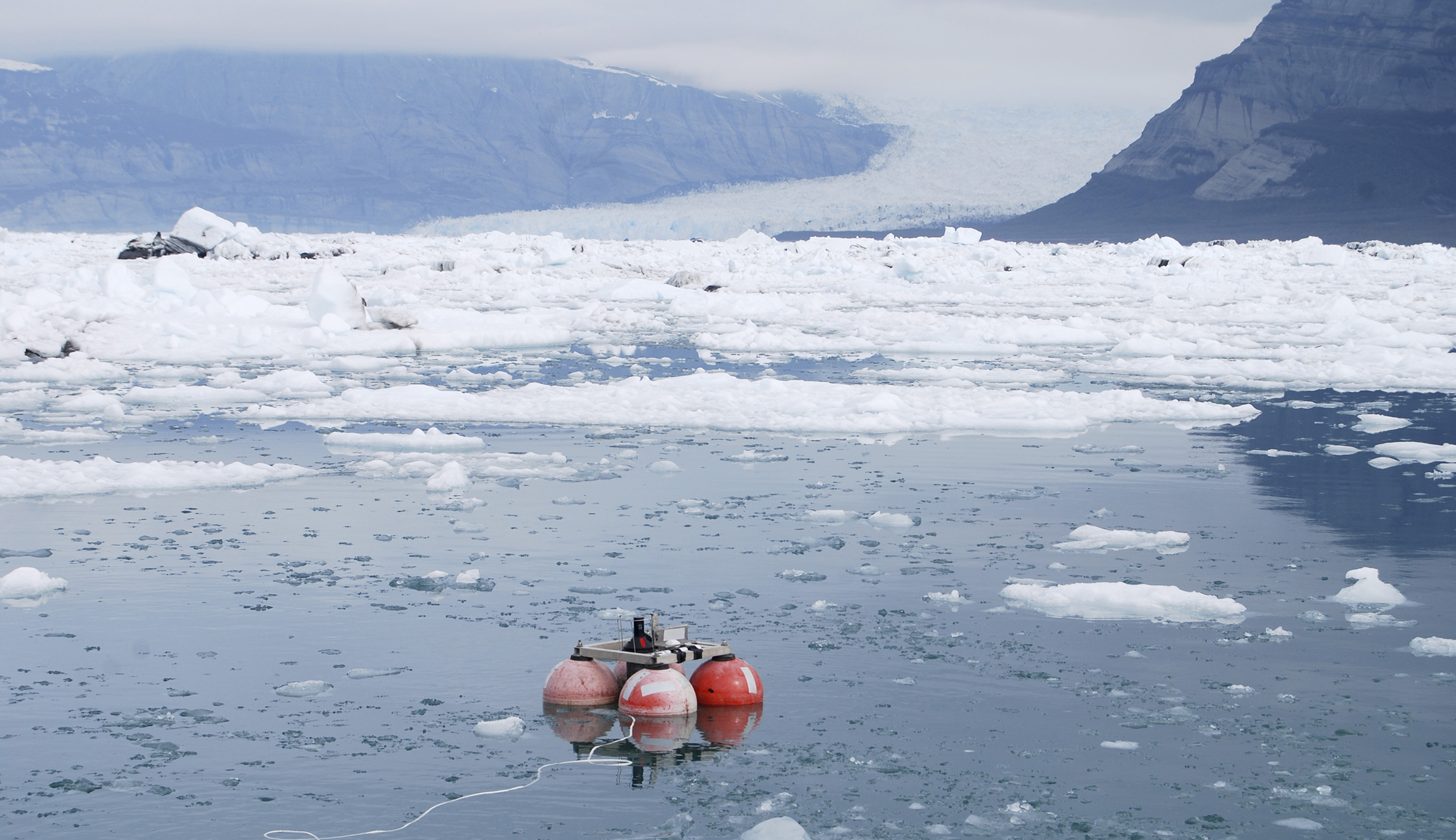 Environmental apocalypse predictions have failed for half a century