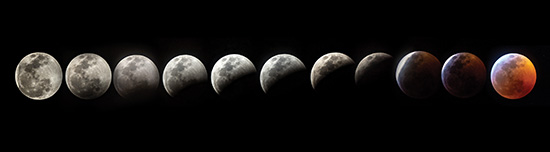 Howling at the blood moon