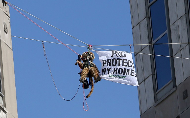 Activists balk at plea deal in P&G protest case