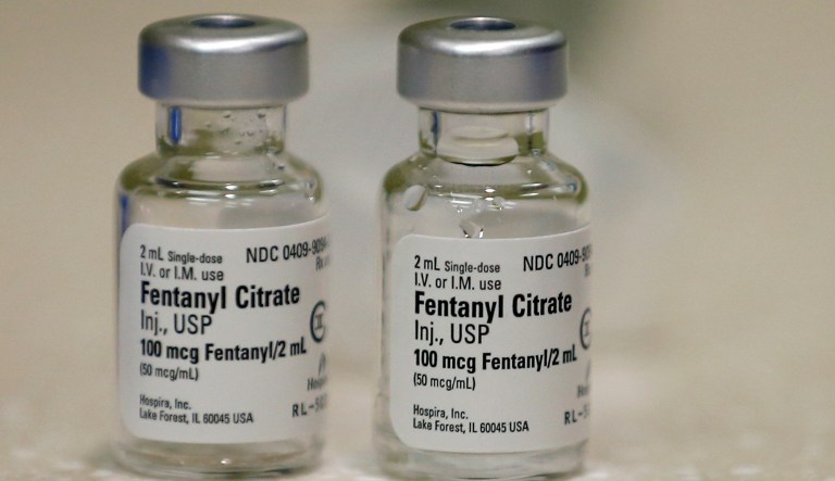 California seized enough fentanyl last year to kill entire world ‘nearly twice over’