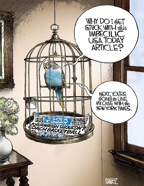 Bird-cage Lining