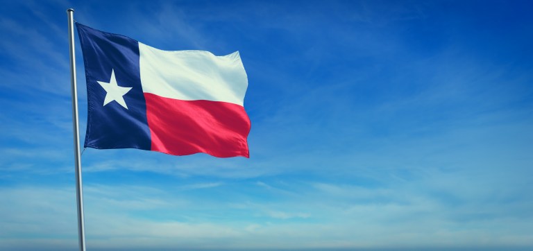To make government better, DOGE should learn from Texas