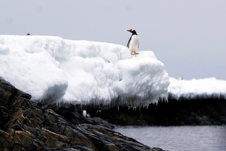 Don’t let Iran colonize Antarctica