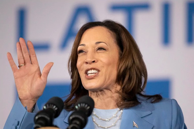 Kamala Harris can use the 25th Amendment to her advantage