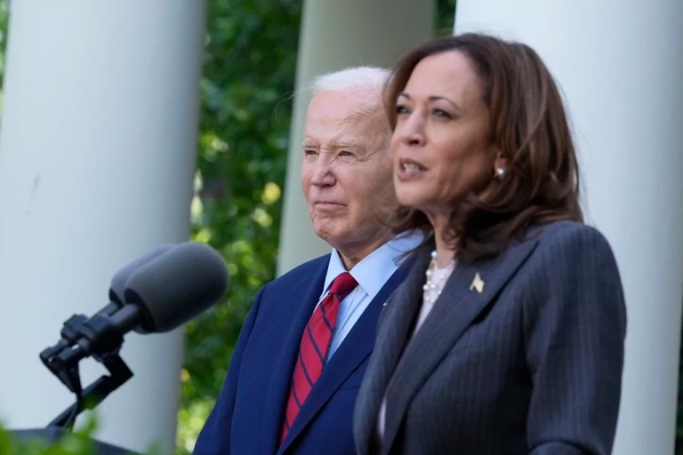 The Democratic Party hates its voters