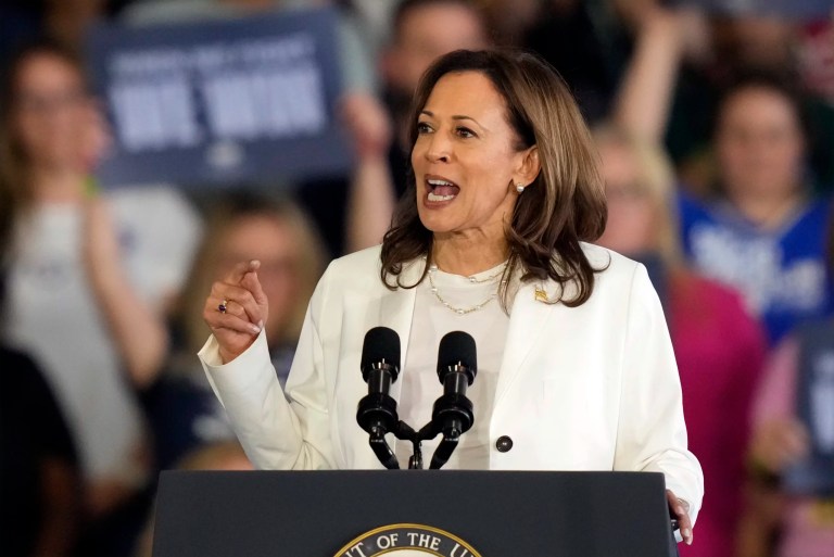 DNC plans to have vertical streaming in push to capture young voters
