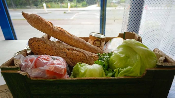 Food stamps: 19 states sending out SNAP benefits worth up to $1,751 this week