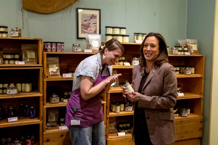 Kamala Harris’s choice: Divisiveness, spiced up