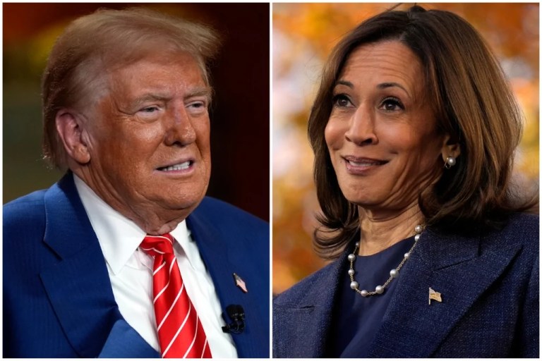 Kamala Harris polls turnout