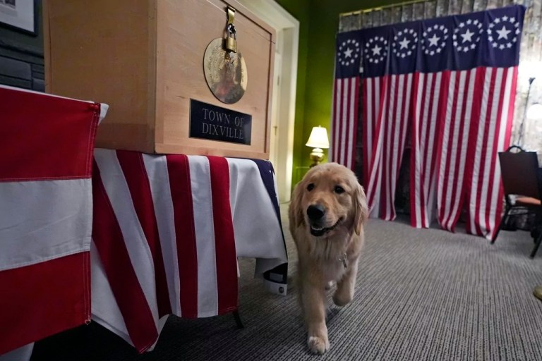 Trump and Harris tie in New Hampshire’s first-in-the-nation midnight vote