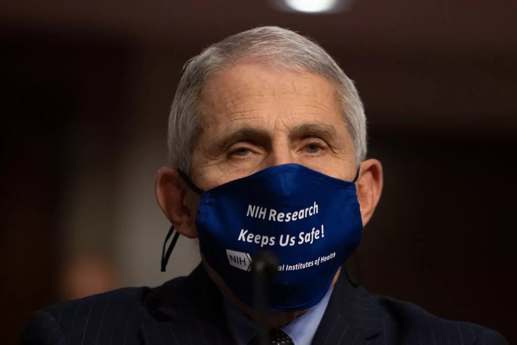 WASHINGTON, DC - SEPTEMBER 23:  Anthony Fauci, director of National Institute of Allergy and Infectious Diseases at NIH, looks on before testifying at a Senate Health, Education, and Labor and Pensions Committee on Capitol Hill,  on September 23, 2020 in Washington, DC. Dr. Fauci addressed the testing of vaccines and if they will be ready by the end of the year or early 2021. (Photo by Graeme Jennings- Pool/Getty Images)