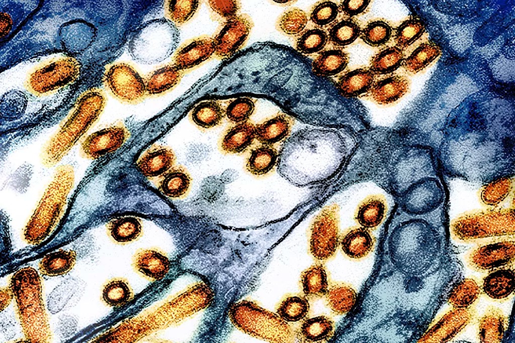 Why biodefense must be a national security priority 