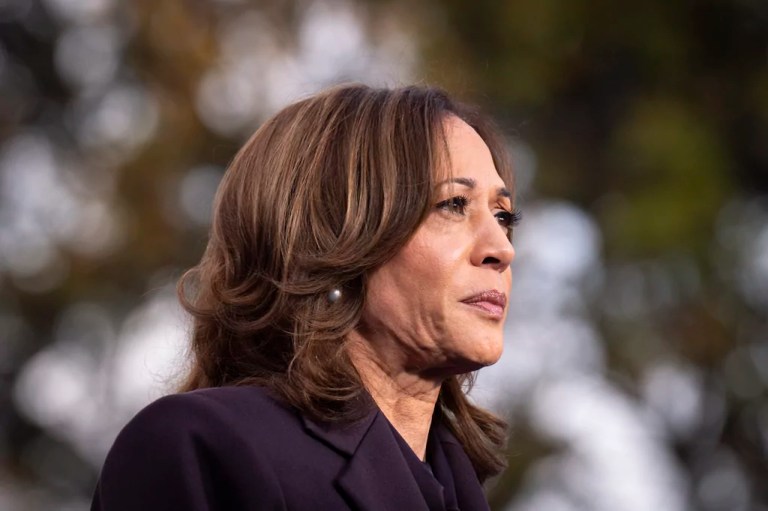 Harris hints her Hawaii vacation was preparation for political comeback