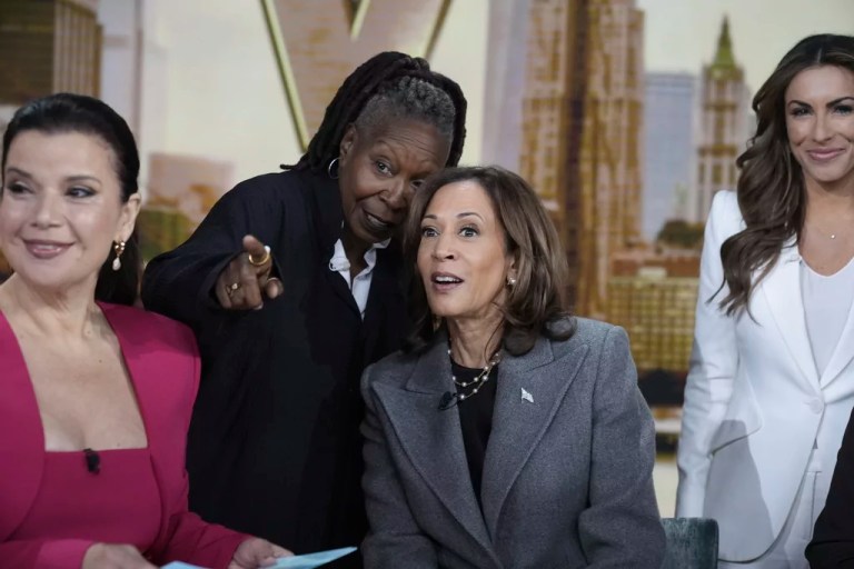 The View melts down over Trump’s historic victory: ‘Profoundly disturbed’