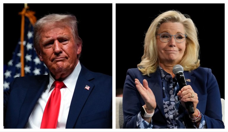 Trump slams ‘media hoax’ over Liz Cheney ‘war hawk’ comment