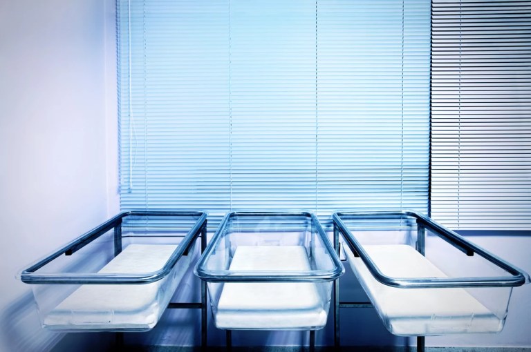 Empty baby cribs in a maternity ward.