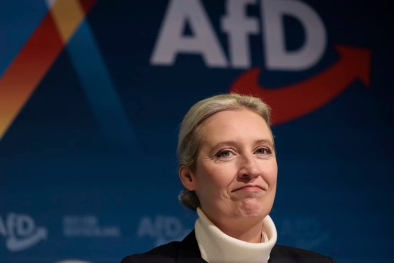 Musk wades into international politics with endorsement of Germany’s right-wing AfD party