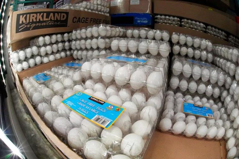 Organic eggs distributed to Costco stores recalled over salmonella concerns