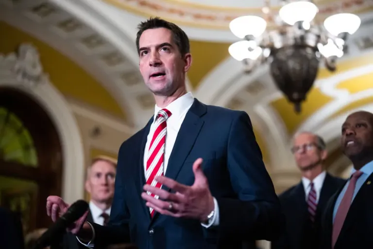 Tom Cotton calls on DOD to bar foreigners from access to Pentagon online systems