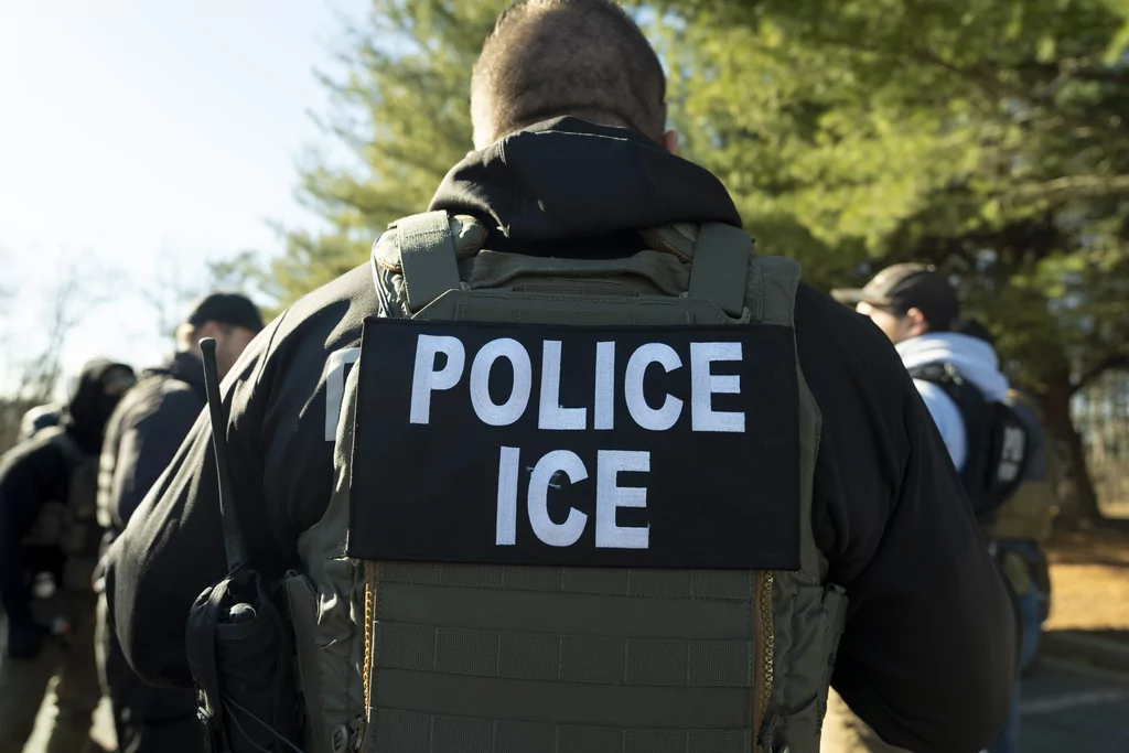Not all immigration is equal
