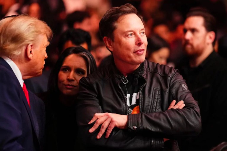 Musk signals formation of ‘America Party’ following X poll