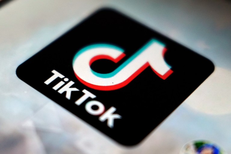 AI company proposes merger with TikTok that gives US government 50% stake