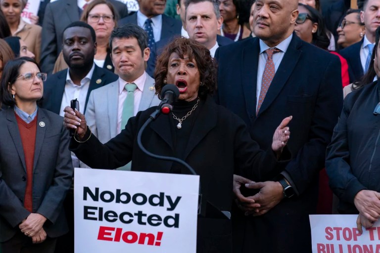 Rep. Maxine Waters (D-CA), accompanied by other members of Congress, speaks during a rally against Elon Musk outside the Treasury Department in Washington.
