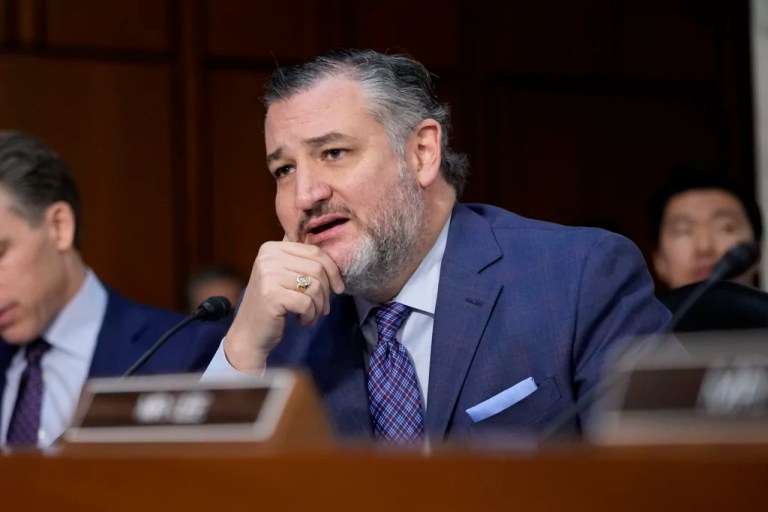 Black Hawk’s advanced security system not on at time of Potomac plane crash: Ted Cruz