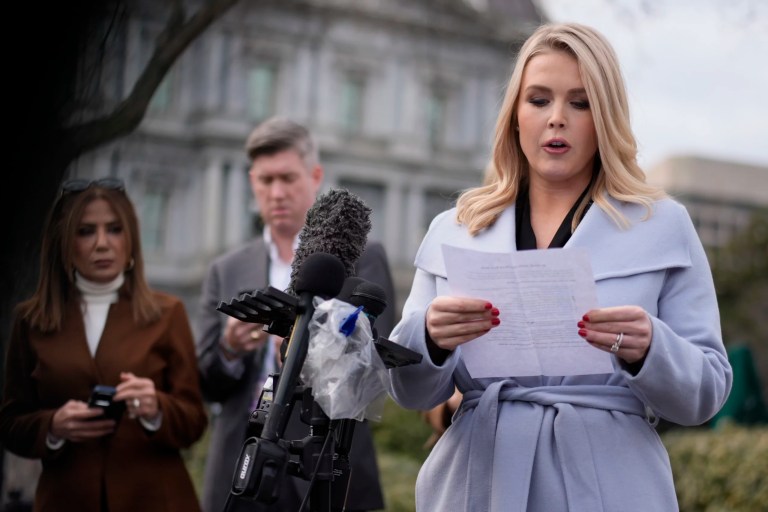 USAID’s ‘long list of crap’: Karoline Leavitt cites millions in wasteful spending