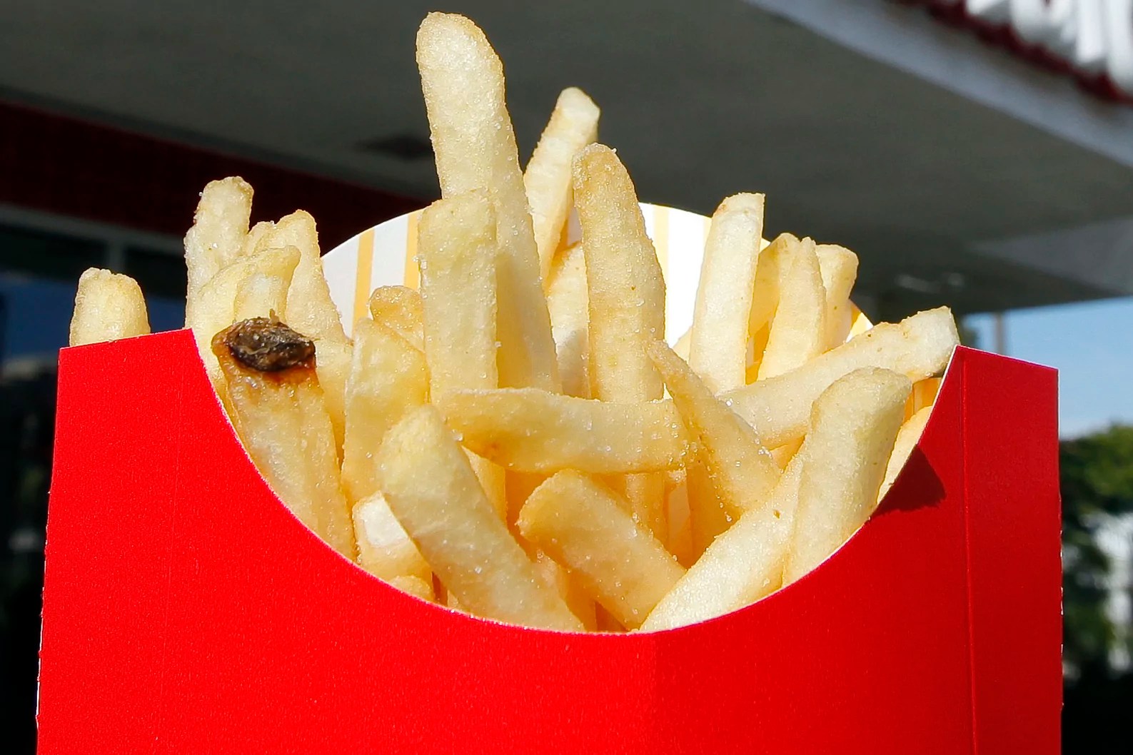 Steak ‘n Shake makes beef tallow great again