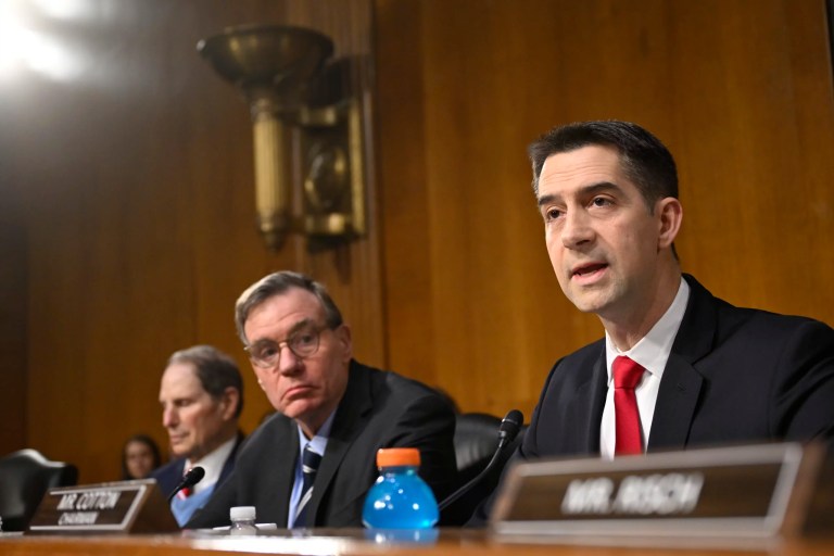 Tom Cotton rebukes Code Pink ‘lunatic’ disrupting Senate intelligence meeting