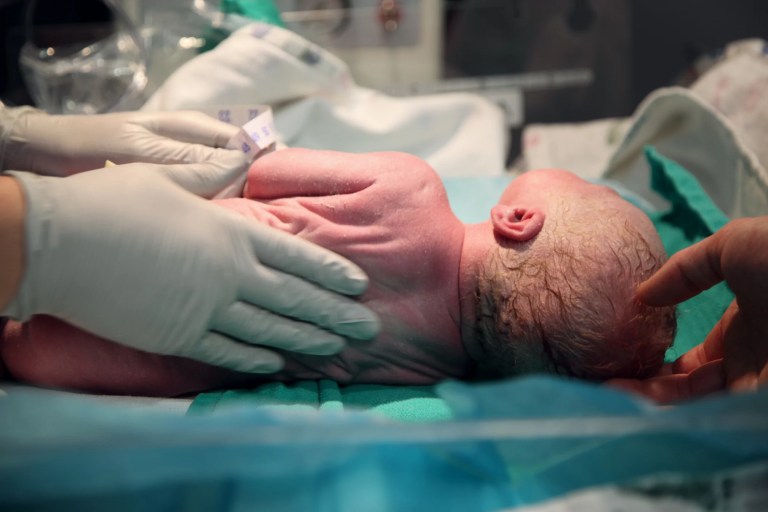 US births fell to lowest level in decades in 2023