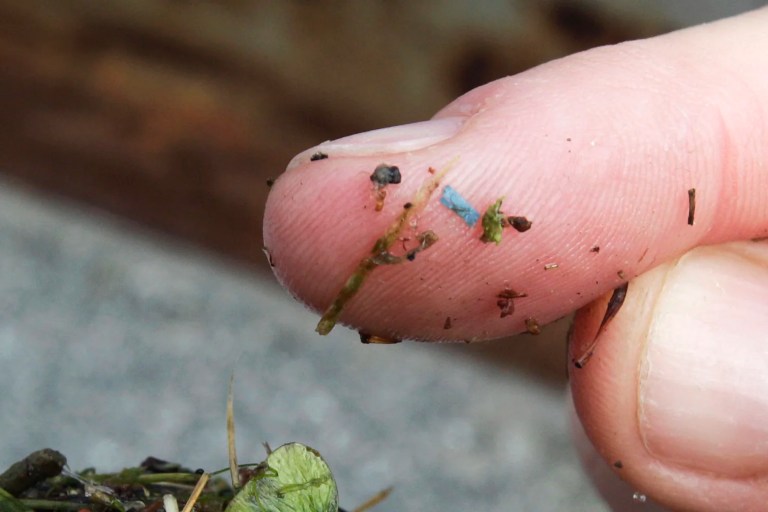 Do microplastics fuel our mental health crisis?