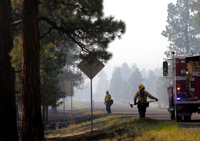 Two firefighters from Surprise, Ariz., walk along the road as they mop up hot spots during the Wallow Fire in Greer, Ariz.