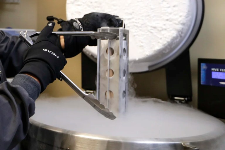 A container with frozen embryos and sperm stored in liquid nitrogen is removed at a fertility clinic in Fort Myers, Fla., Oct. 2, 2018.