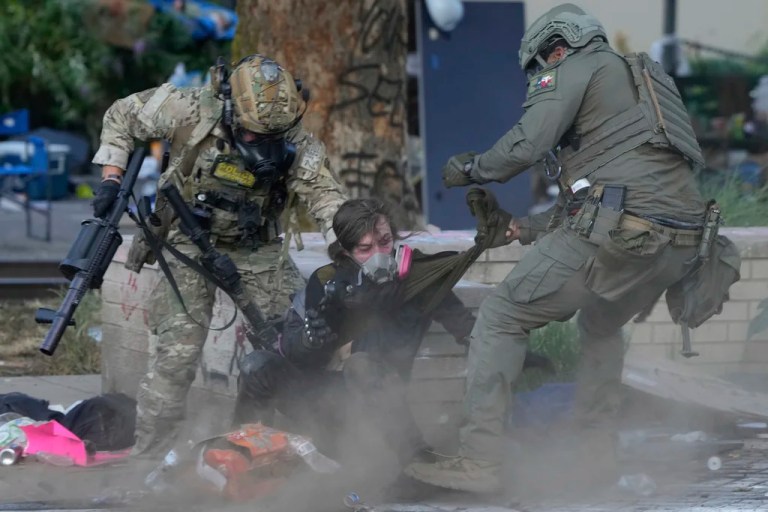 Law enforcement officers grab a demonstrator.
