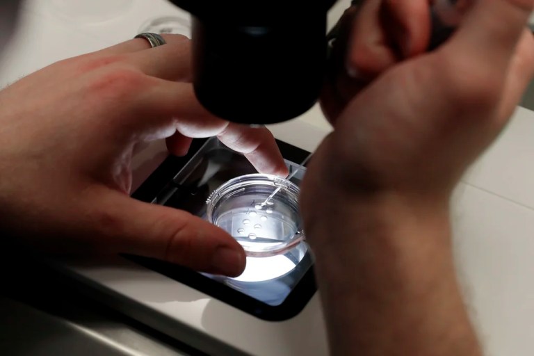 Eight babies born via ‘three-parent IVF’: What to know about the ethics